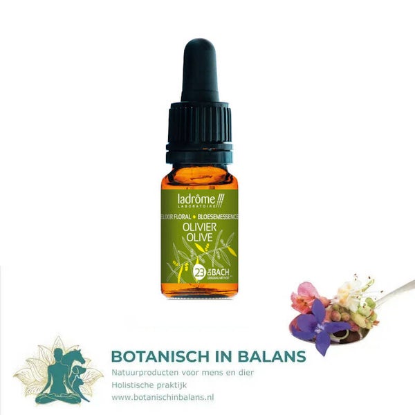 Olijf 23 bachbloesem - LaDrôme bio