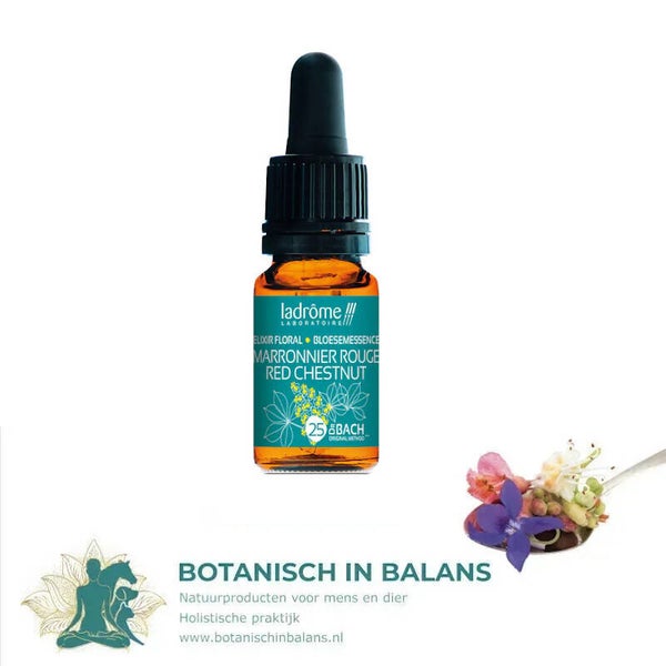 Rode kastanje 25 bachbloesem - LaDrôme bio