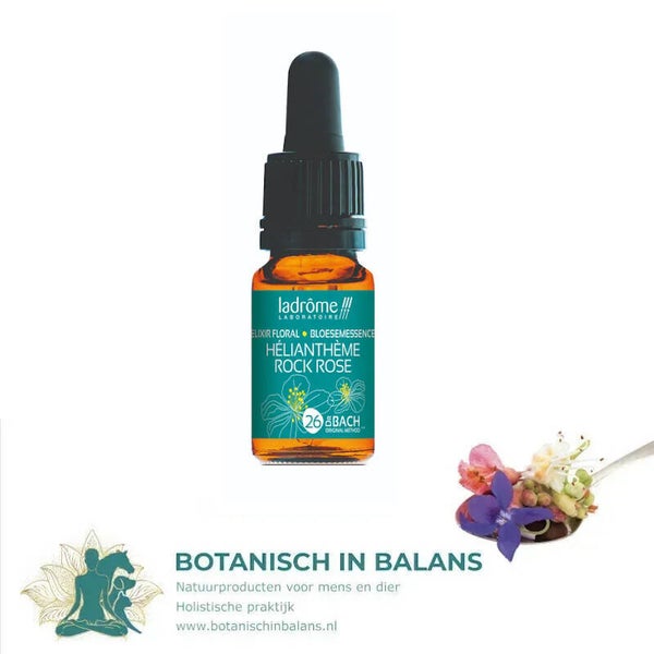 Zonneroosje 26 bachbloesem - LaDrôme bio