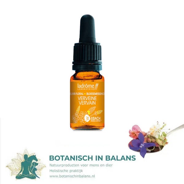 IJzerhard 31 bachbloesem - LaDrôme bio