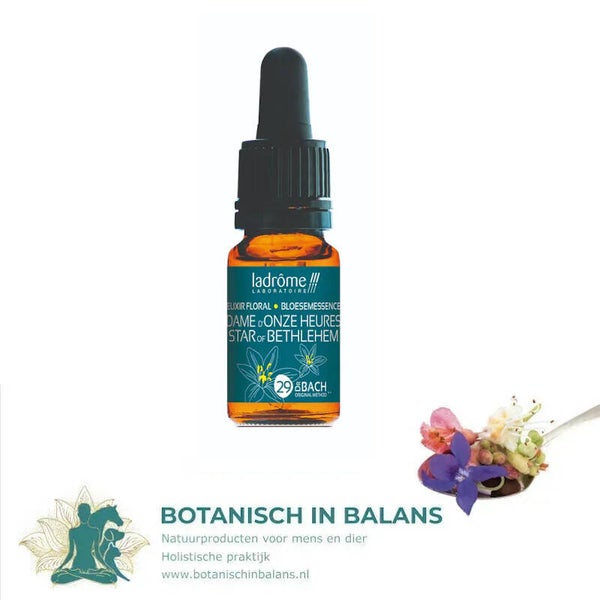 Vogelmelk 29 bachbloesem - LaDrôme bio