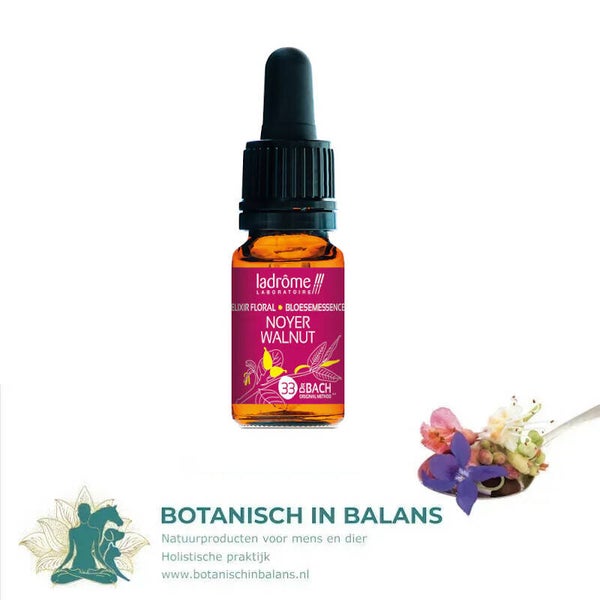 Walnoot 33 - Walnut bachbloesem - LaDrôme bio