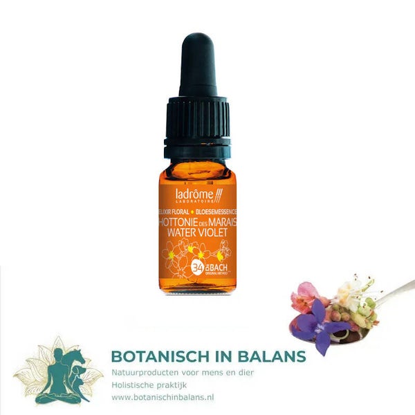 Waterviolier 34 - Water violet bachbloesem - LaDrôme bio