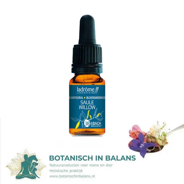Wilg 38 bachbloesem - LaDrôme bio
