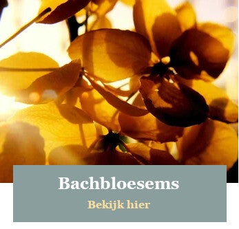 Bachbloesems voor honden