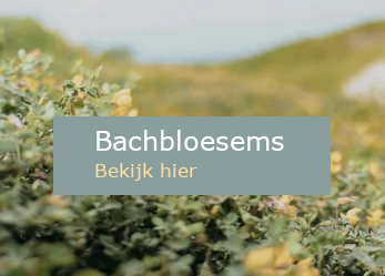 Bachbloesemremedies