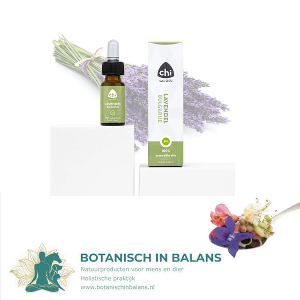 Chi Lavendelolie Bulgarije bio 20 ml
