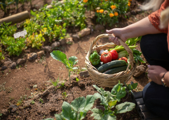 Educatie natuurvoeding