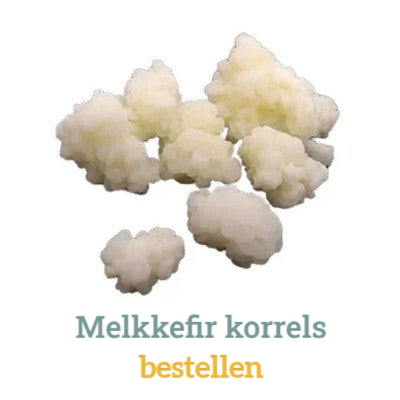 Bestel de beste Melkkefirkorrels bij Botanisch in Balans