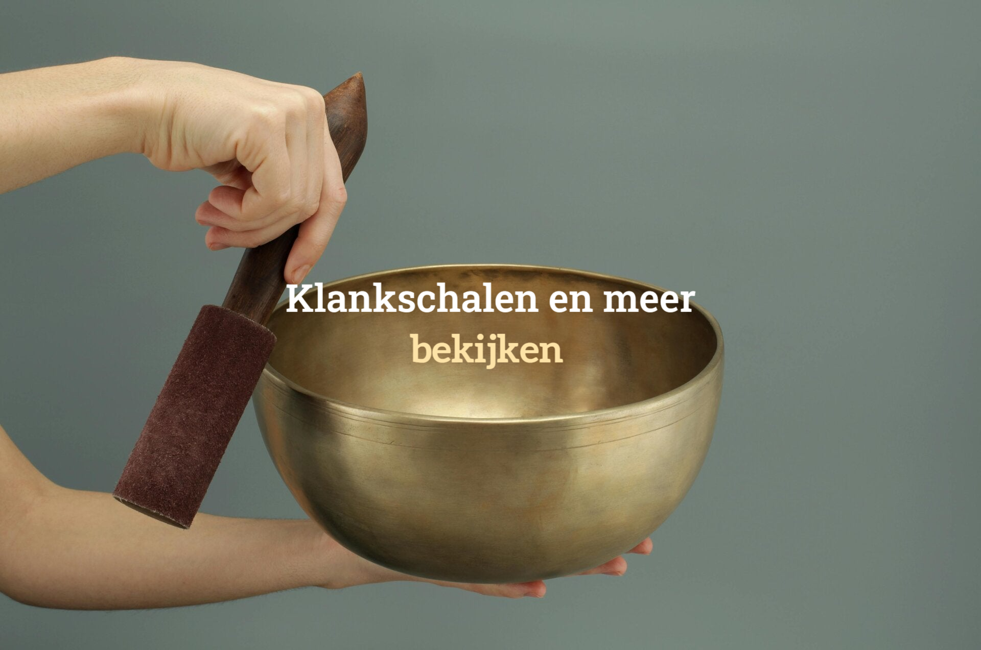 Klankschalen voor jouw welzijnsreis bij Botanisch in Balans