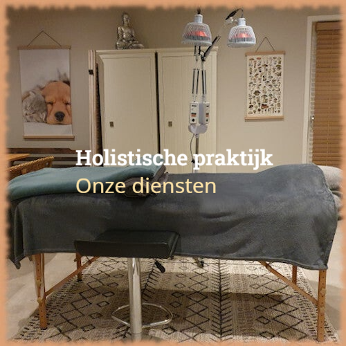 TCM, voeding en natuurlgeneeskunde - holistische praktijk Botanisch in Balans