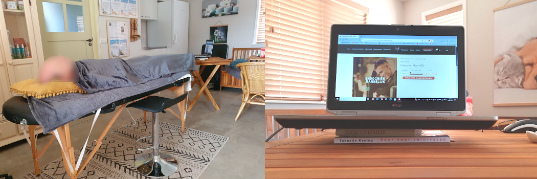 Geluidstherapie bij Botanisch in Balans Vledder