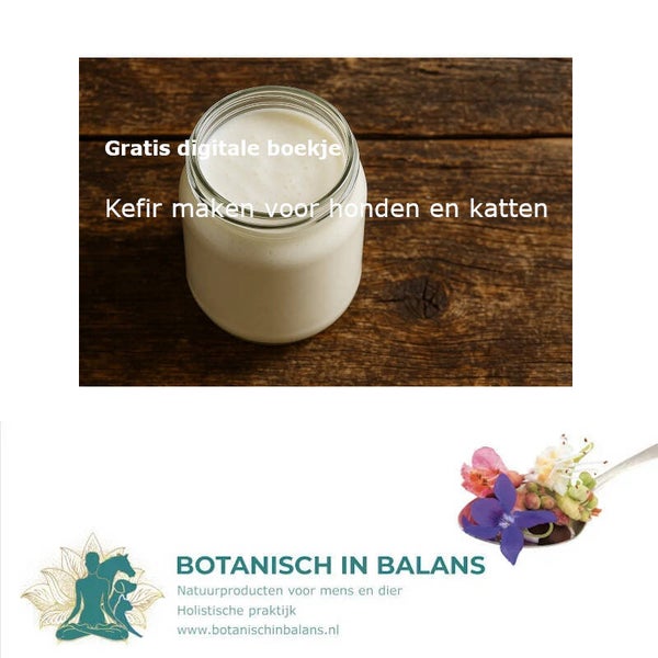 Kefir maken voor honden en katten