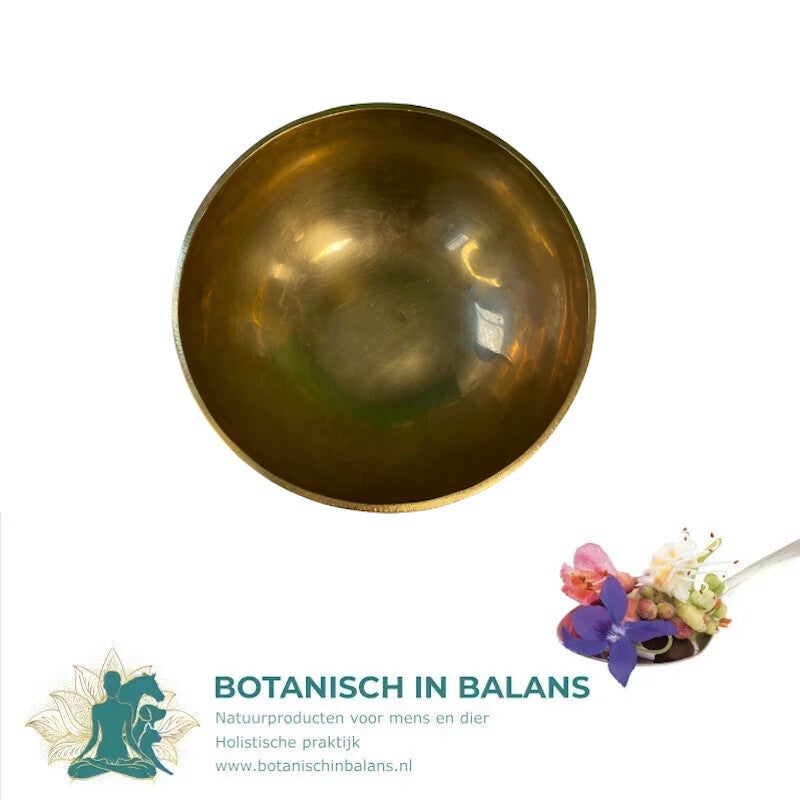 Klankschaal Nepal glad brons 20 cm