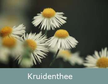 Echte kruiden, zuiver en handverwerkt voor de beste kruidenthee bij webshop Botanisch in Balans