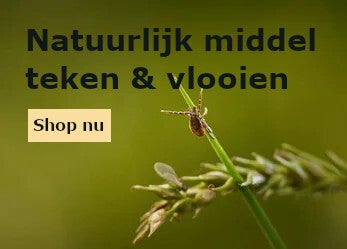 Natuurlijk middel tegen teken en vlooien spagyriek in Drenthe