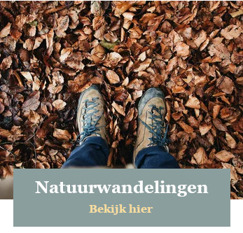 Wandel mee met Natuurwandelingen Drenthe