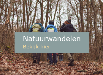 Organisator natuurwandelingen Drenthe