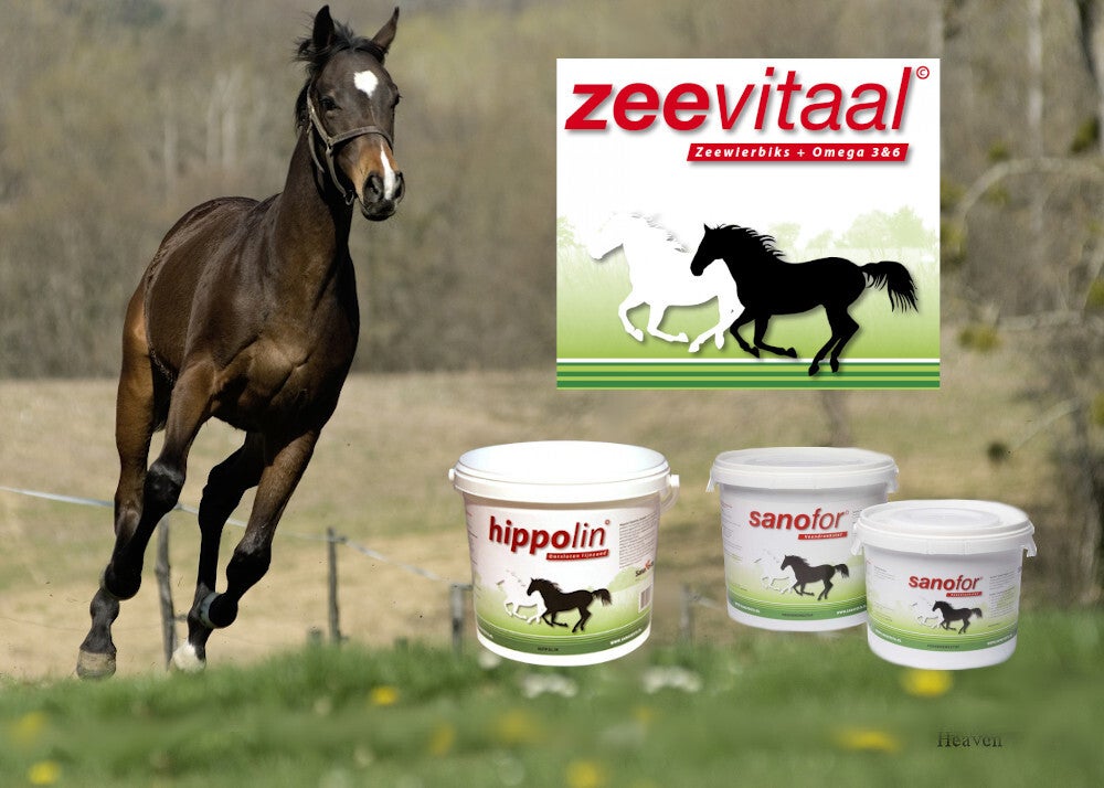Zeevitaal Zeewier en Sanofor Veendrenkstof grootverbuikerskorting en bezorgen in Drenthe