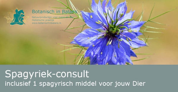 Spagyriek voor Dieren consult