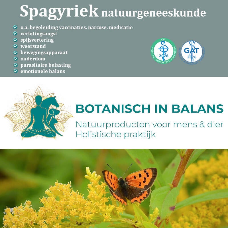 Spagyriek natuurgeneeskunde begeleiding voor dieren en mensen