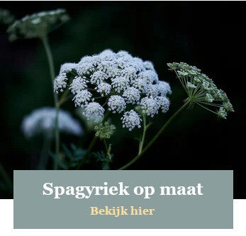 Spagyriek voor dieren en mensen