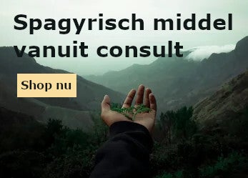 Spagyrisch middel vanuit consult bij Botanisch in Balans Vledder