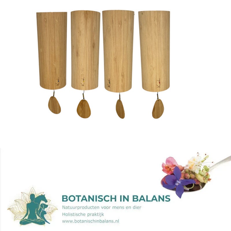 Windgongs set van 4 Koshi Chime - Vier Elementen