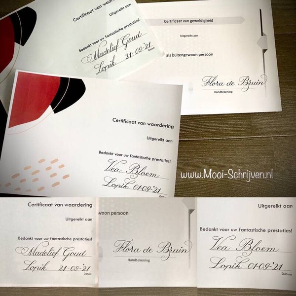 Certificaten / Diploma's