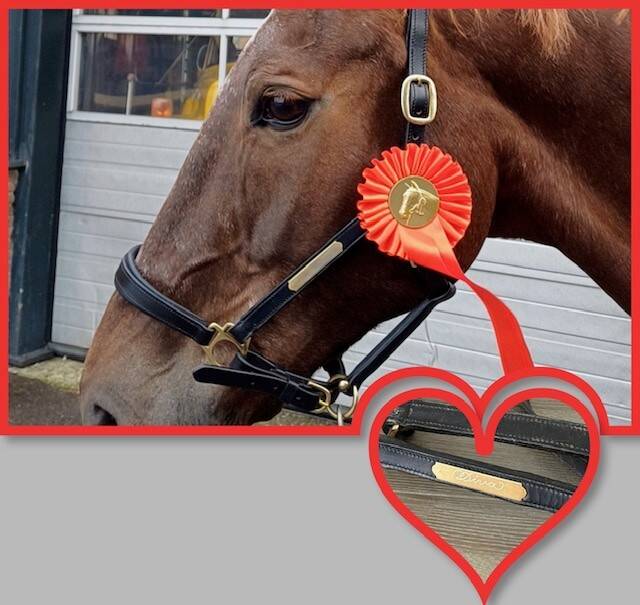 gegraveerde halster voor paard Diva