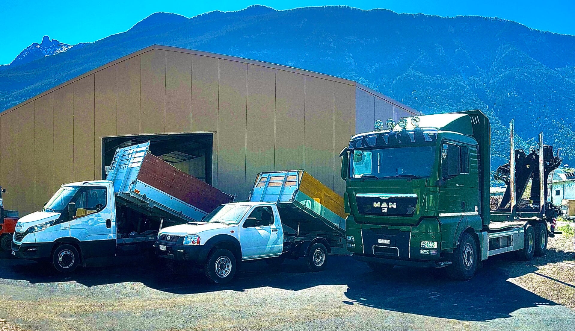 livraisom de bois bois dans tout le valais, saint maurice,martigny,charrat,fully,saxon,saillon,leytron,riddes,bois de feu 