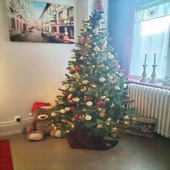 img20231124151143.jpg