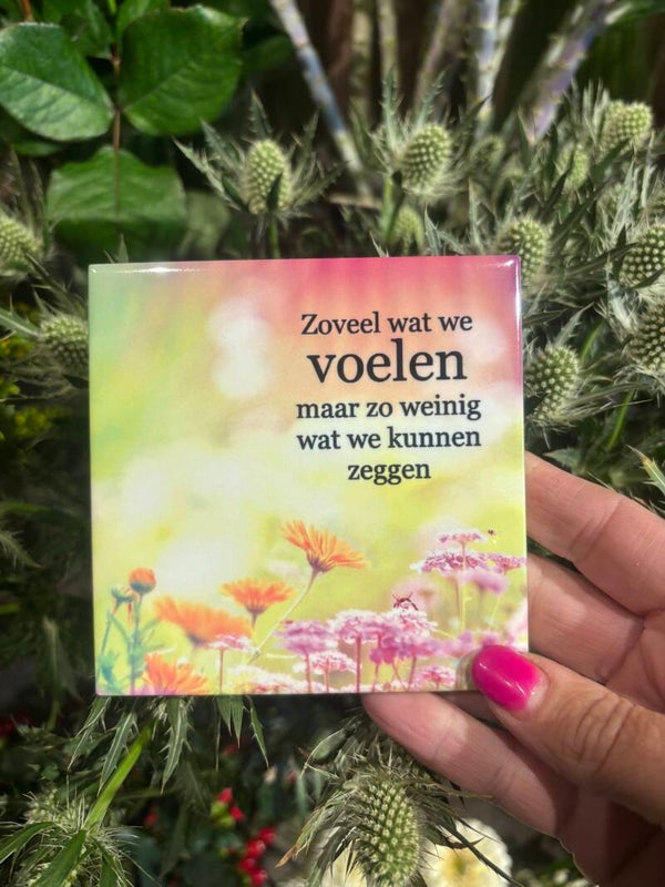 Tegeltje 4# - Zoveel wat we voelen - kleur