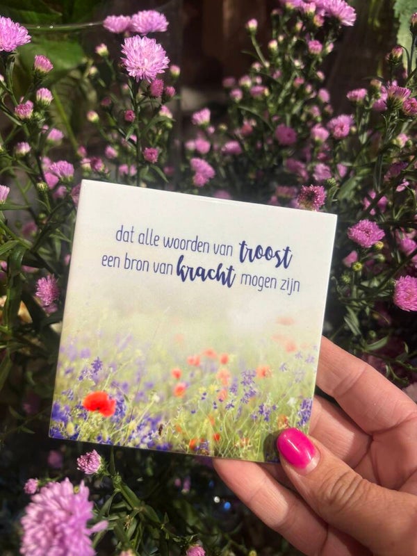Tegeltjes 2# - Troost & Kracht