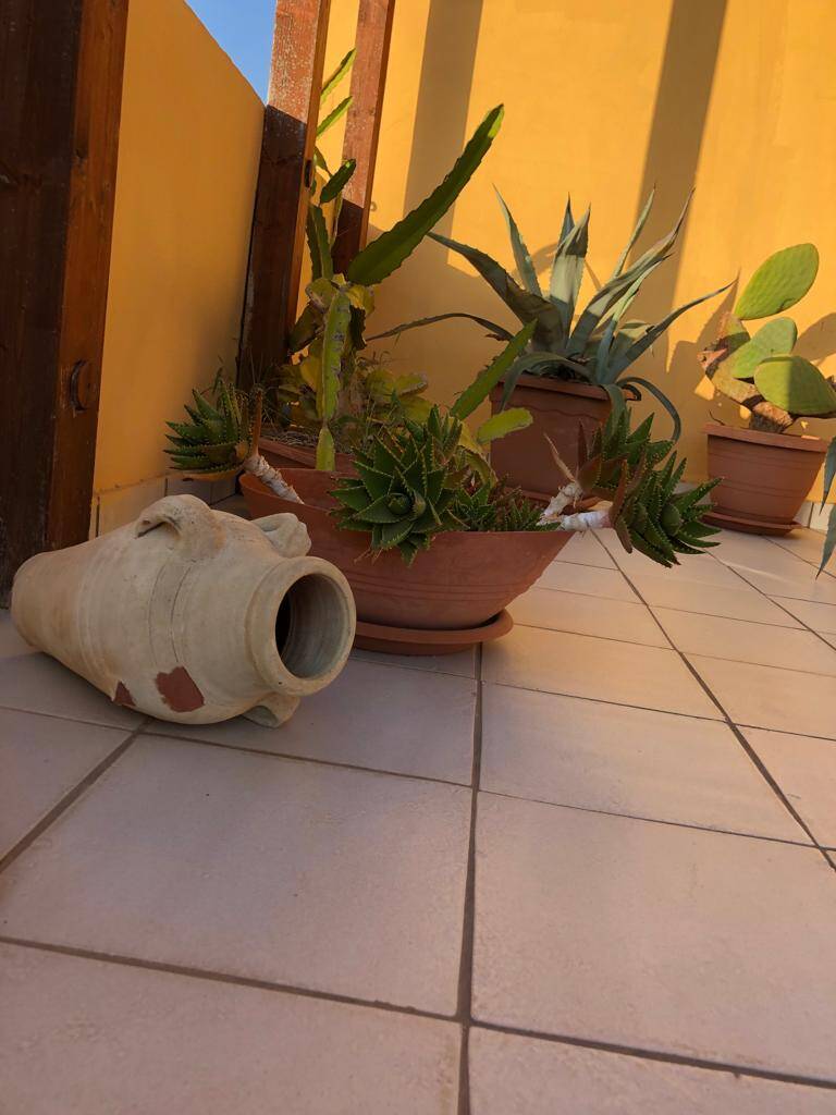 lechicchedilampedusa, Lampedusa appartamenti in affitto, ampio terrazzo panoramico per aperitivi su richiesta