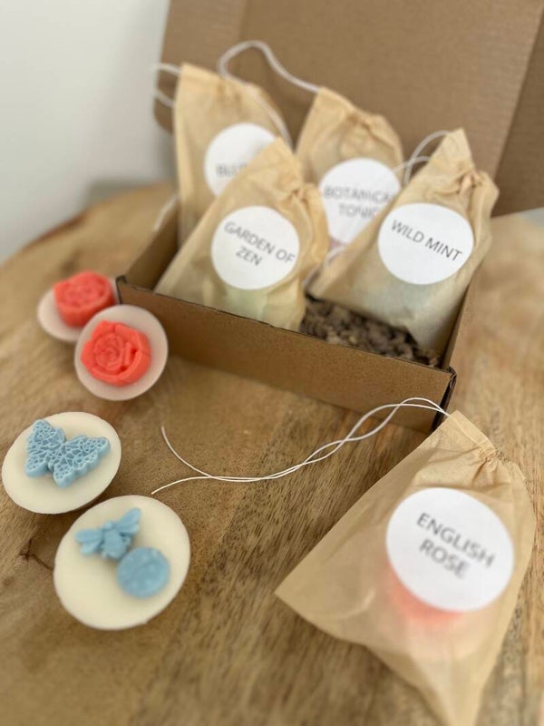 Spring discovery box