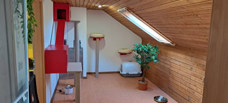 Räume Katzenpension