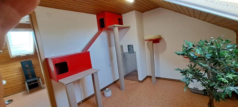 Räume Katzenpension