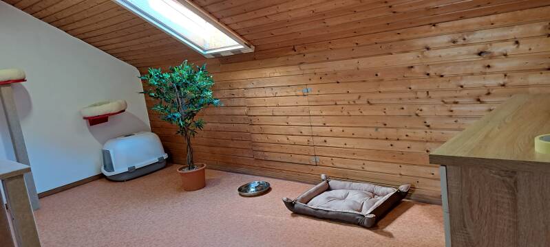 Räume Katzenpension