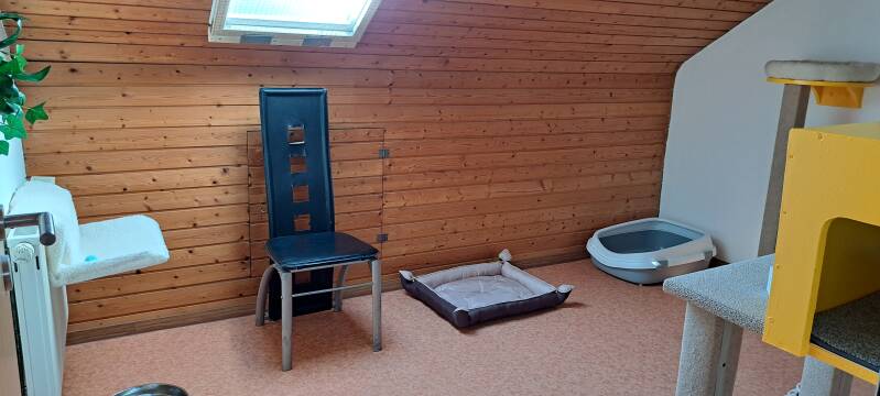 Räume Katzenpension