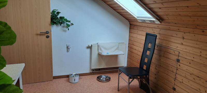 Räume Katzenpension