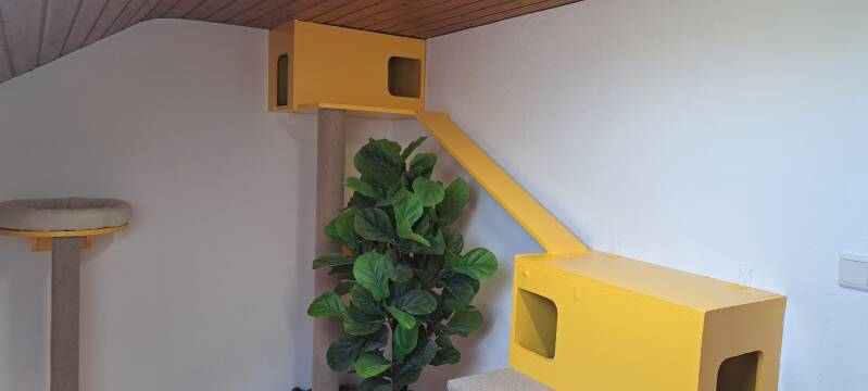 Räume Katzenpension