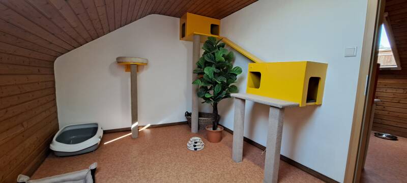 Räume Katzenpension