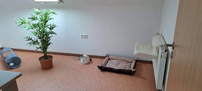 Räume Katzenpension