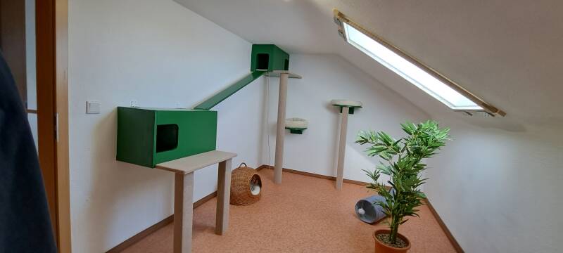 Räume Katzenpension