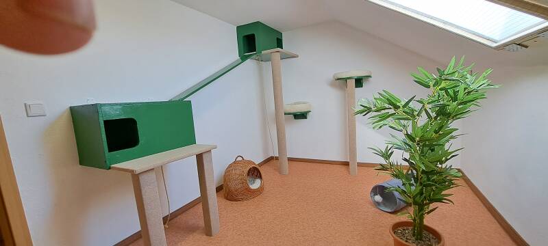 Räume Katzenpension