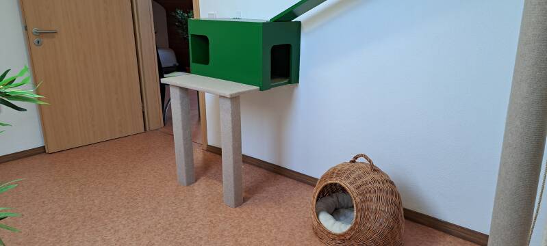 Räume Katzenpension