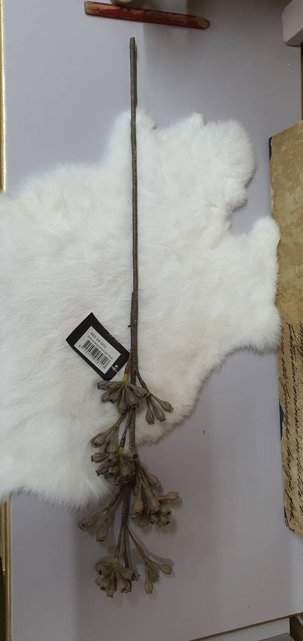 Decoratieve Tak