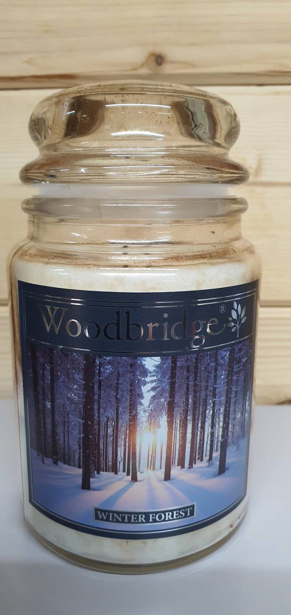 Woodbridge Winter Forest