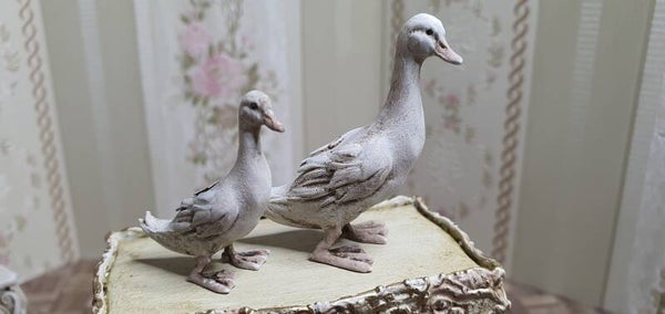 Exclusieve Miniatuur Eenden Set (1:12)